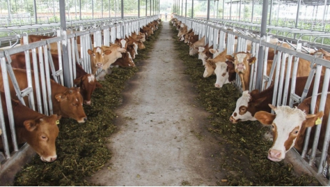 養(yǎng)殖場有必要安裝一體化污水處理設(shè)備嗎